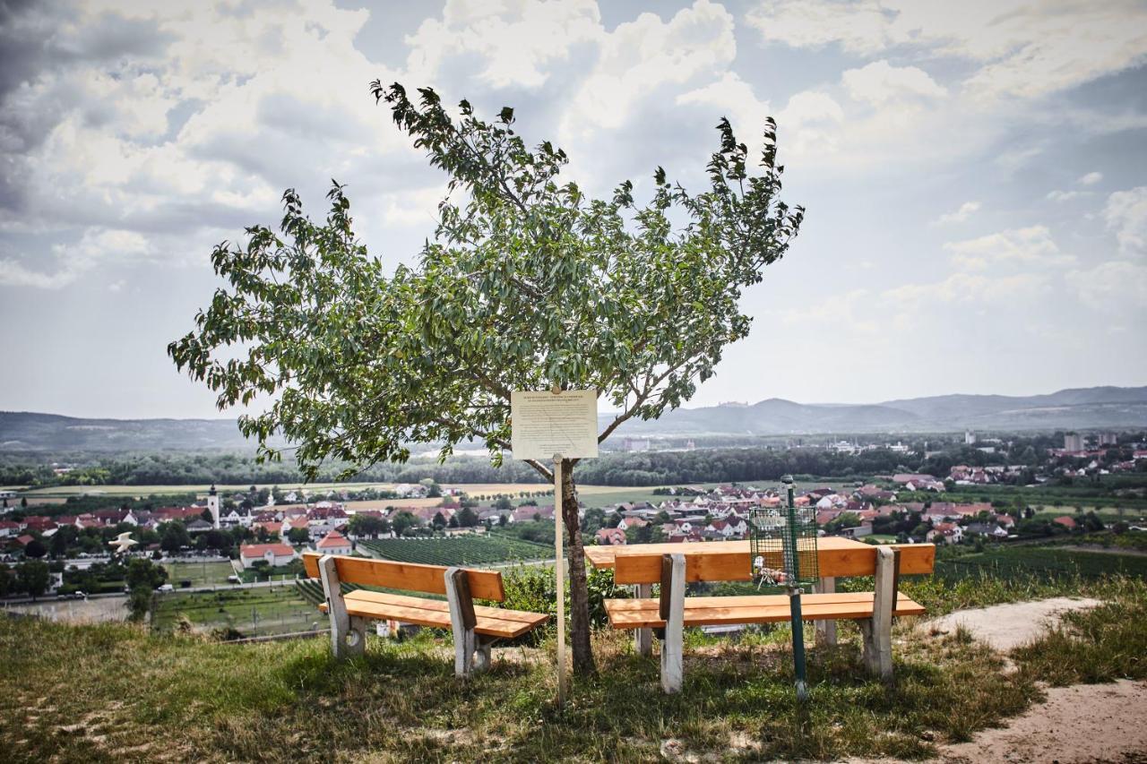 Schmankerl Und Gast Acomodação com café da manhã Rohrendorf bei Krems Exterior foto