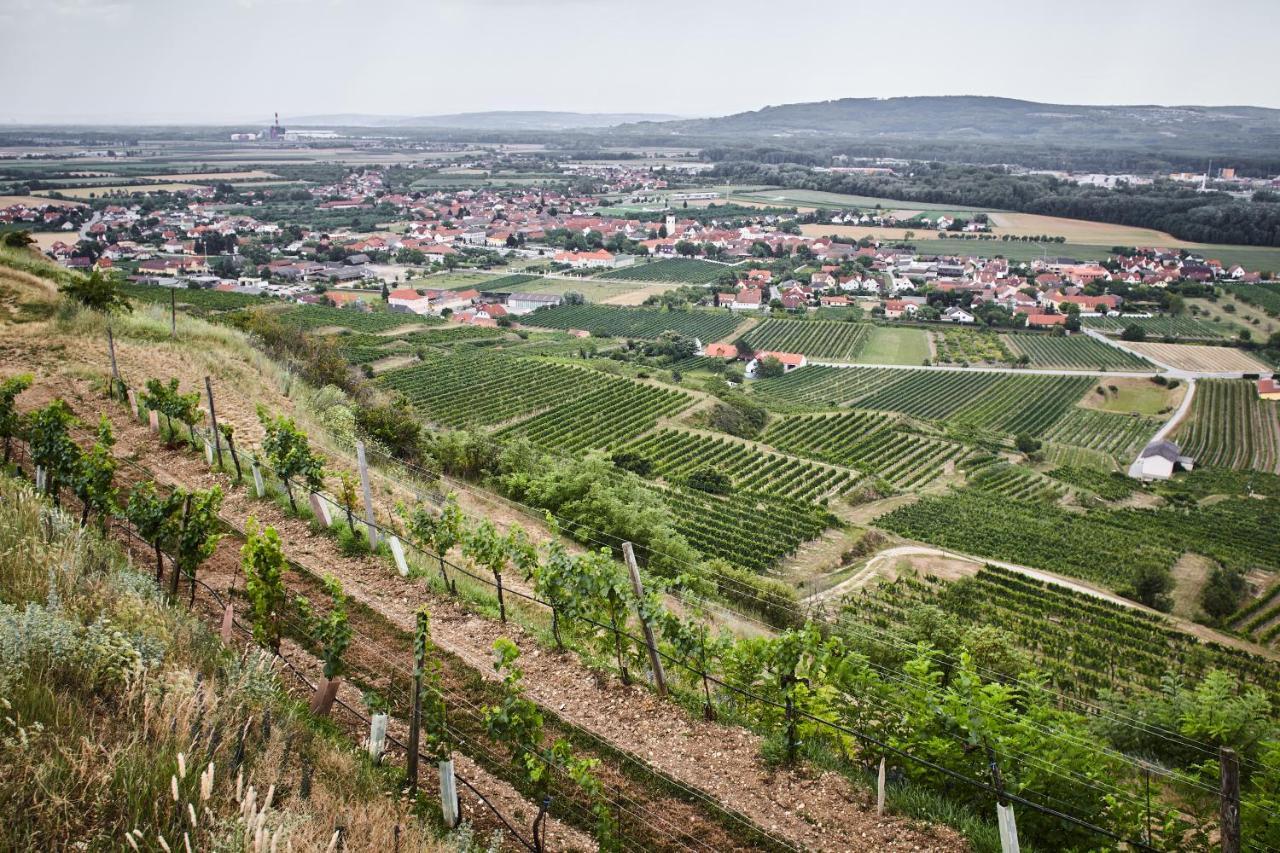 Schmankerl Und Gast Acomodação com café da manhã Rohrendorf bei Krems Exterior foto